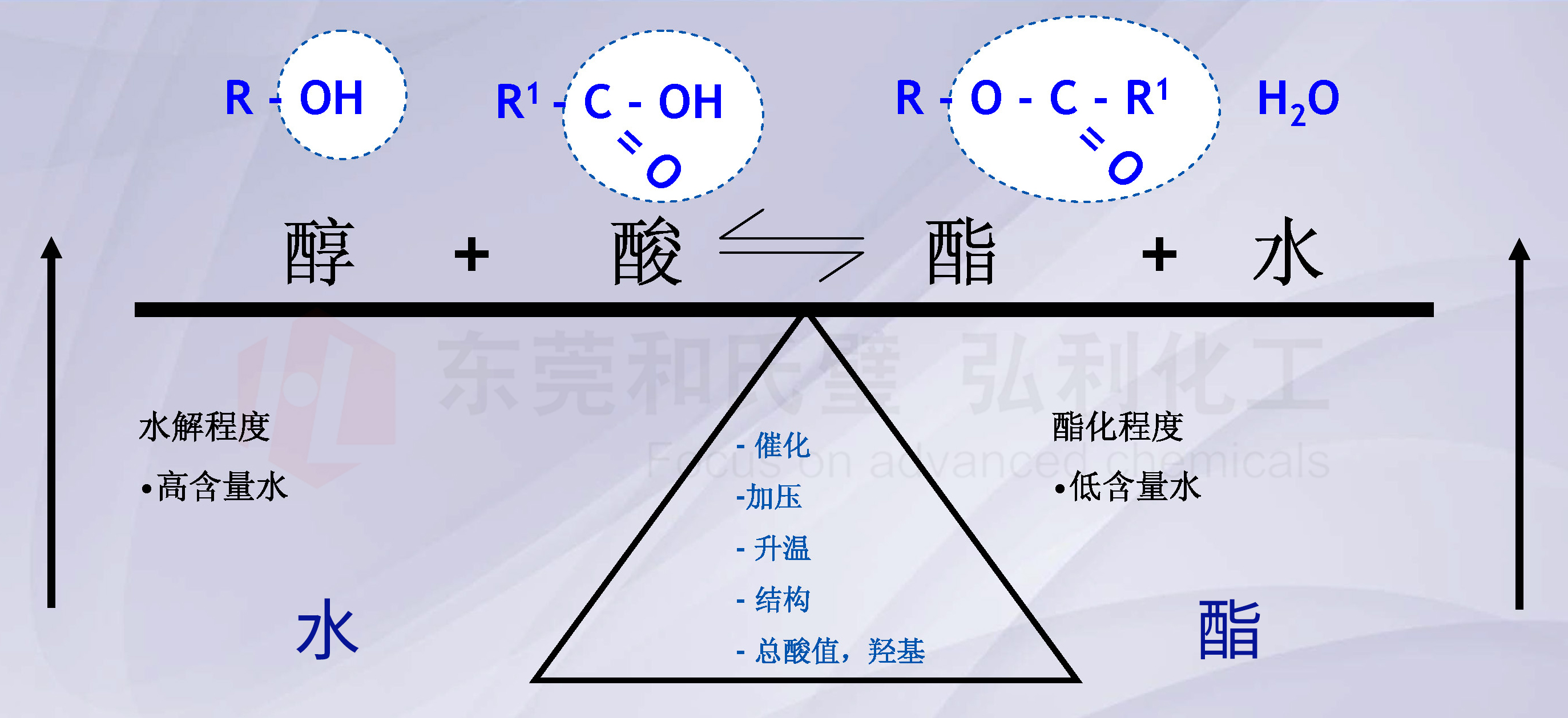 酯化反應(yīng).jpg
